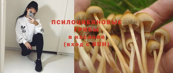 альфа пвп Баксан