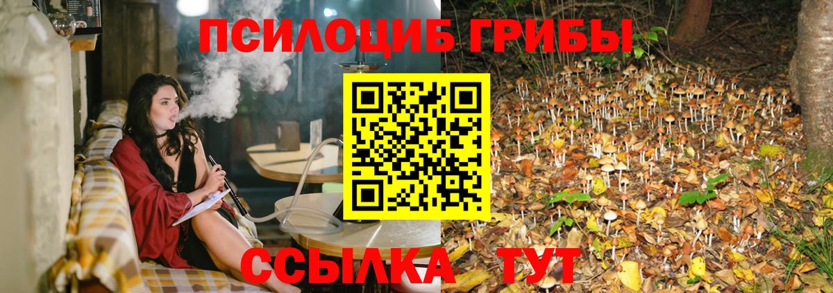 Галлюциногенные грибы прущие грибы  Псилоцибиновые грибы Psilocybe  Вольск  Вход с VPN 