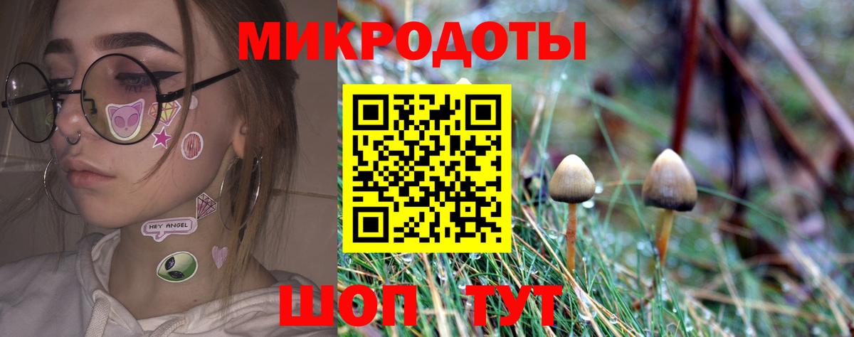 Псилоцибиновые грибы Psilocybine cubensis Вольск